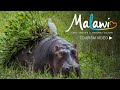 Visit Malawi