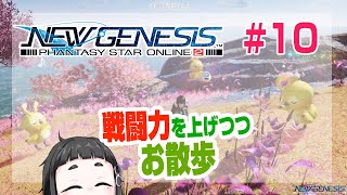 ゲーム初心者案内役とPSO2【ファンタシースターオンライン２:NGS】#10