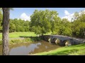 the burnside bridge witness tree