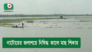 নাটোরের জলাশয়ে নিষিদ্ধ জালে মাছ শিকার