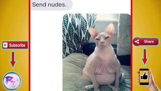 Most Hilarious Texts From Exes!