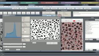 TUTORIAL: Reveiwing a 2D Batch