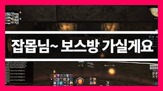 [파판14/탱쪽이] 새싹 탱커 일기 4일차 - 잡몹을 보스방으로.. (할리탈리)