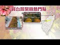 雲林落羽松祕境 綠黃紅交錯夢幻 【民生八方事】 2022110607 @gtvnews27