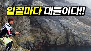 엄청난 대물들 때문에 터지고 또 터지고 하는 추자도 낚시 [박과장TV]