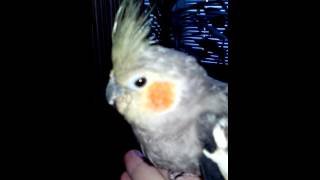 VID 20151029 142106 VID 20151029 142106