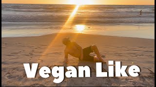 VEGAN LIKE with VideoCaptionsHD