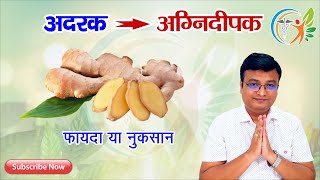 अदरक के फायदे और नुकसान | Health benefits of Ginger in Hindi | Dr. Prateek Agrawal (19)