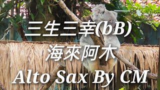 三生三幸-海來阿木bB Alto Sax By CM界民薩克斯風