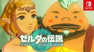 【ゼルダの伝説 ティアーズオブザキングダム】炎の神殿～ボス戦 ボルドゴーマ ストーリー攻略プレイ【ティアキン/ゼルダTotK】