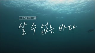 이상, 제주 [살 수 없는 바다] KBS제주 230822방송