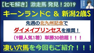 ＜キーンランドC＆新潟2歳S＞【ヒモ解き】激走馬 発見！2019