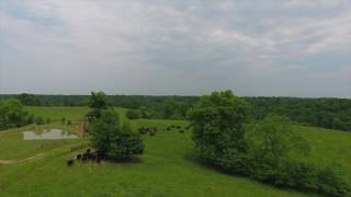 Ridgemore: Bagdad, Ky | A Film By Drone