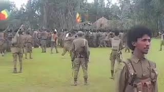 የሸዋ አማራ