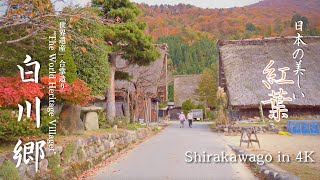 【世界遺産】秋の白川郷の紅葉 - World Heritage Village | Autumn in Shirakawago | 4K HDR