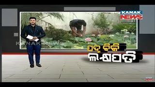 Damdar Khabar: Lotus Cultivation In Pot Makes Couple Millionaire | Over 150 Types Of Lotus Planted