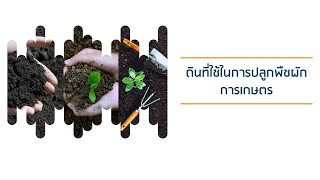 ทฤษฎีเบื้องต้น | ดินที่ใช้ในการปลูกพืชผักการเกษตร | Education