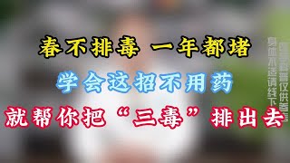 春不排毒，一年都堵，学会这招不用药就帮你把“三毒”排出去