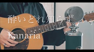 酔いどれ知らず / Kanaria cover