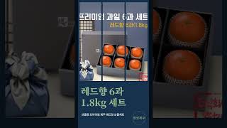 설 명절 선물용 프리미엄 과일 제주 레드향 선물세트