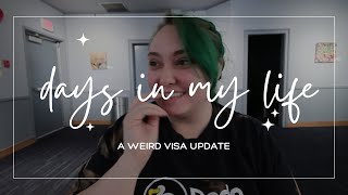 cleaning, streaming, editing \u0026 visa updates