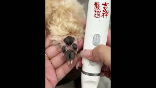 ペット多機能トリマー 替刃4つ バリカン グルーミングバリカン セルフトリミング トリマー 犬用爪切り ペット爪研ぎ 爪磨き 肉球ネイルケア 軽量 静音 自宅でお手入れ 家庭用 犬 猫 ペット用品