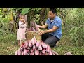 Harvesting wild banana flowers and bring them to the market sell-Cooking, banana flowers salad