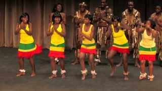 2014 Bokamoso Youth Performance