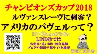 【チャンピオンズカップ2018出走馬】一週前追い切り前　ルヴァンスレーヴに挑むパヴェルって？