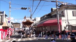 岸和田 ＆ 春木 「だんじり祭り」 2014