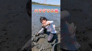 ハマグリ大漁【江戸川潮干狩り】掘ればザクザク #蛤 #はまぐり