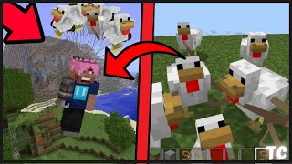 Paraquedas de Galinha!! Funciona no Minecraft 😱