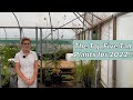 My Top 5 Tall Plants!