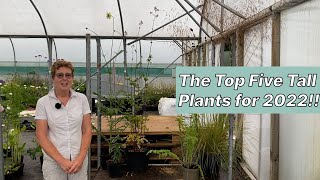 My Top 5 Tall Plants!