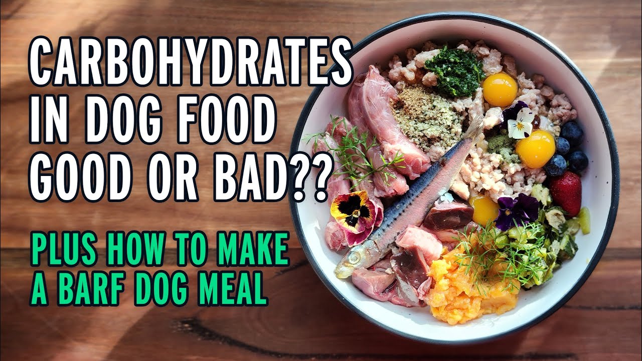 Carbohydrates In Dog Food - Good Or Bad? PLUS A Guide To BARF Diet For ...