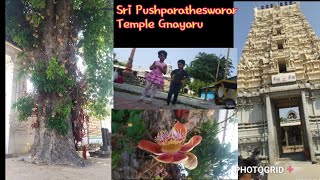 Gnayiru | 1500 years old Sri Pushparatheshwarar Swarnambika temple | suryan navagraha sthalam