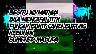 Nikmatnya bila mencapai titik Puncak Bukit Candi Bhurung Desa Kebunan Sumenep Madura | Wisata Alam