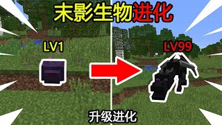 Minecraft：『末影生物进化』，每升5级进化一次！该如何通关MC？【煞神吖】