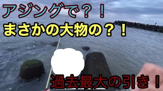 【アジング】まさかの大物？！