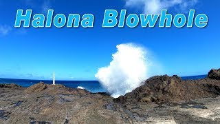 Hawaii Blowhole | Halona Blowhole Lookout | Halona Beach Cove | Honolulu, Oahu 🌈 Hawaii 4K Tour