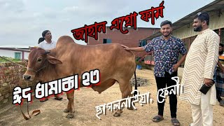 আর নয় ভারতীয় গরু।কেরবানি চাহিদা মেটাবে জাহান এগ্রো।Jahan Agro Farm।