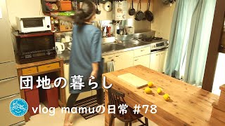 Japanese vlog/To Aso in Kyushu. And eat a lemon when tired from traveling.