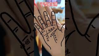 🔥測一測你是哪一種手型 🤚☯看看是不是跟你一樣的手紋，#palmistry  #手相