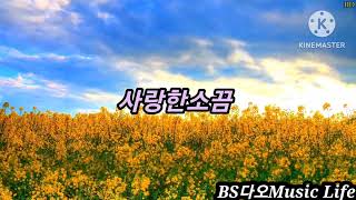 사랑한소끔- 가수김나현