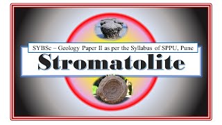 Stromatolite