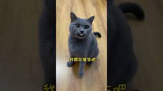 【雪球日记】大家先给猫妈妈取个名字吧！