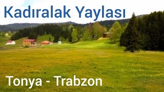 Kadıralak Yaylası - Tonya - Trabzon