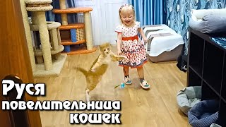 Руся повелительница кошек.