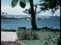 nick beck vintage surf film