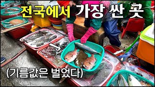 (통영) 싸도 너무 싼 전국 활어 최저가!!! / “한 마리 만원부터. 저렴할 때 먹고 가~“